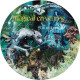 PUZZLE HARRY POTTER ET LES CREATURES MAGIQUES 500 PIECES - NOUVELLE EDITION
