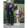 EASY WALK Harnais Deluxe M-L - Bleu Océan - Pour chien