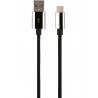 Câble Temium USB-C Argent 2 m