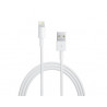 Câble Lightning blanc Apple chargeur iPhone 1m