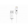 Câble USB Lightning Wefix 2m Blanc