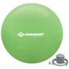 Ballon de gymnastique Schildkröt 85cm