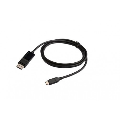 Câble DisplayPort vers USB Type C Erard 2 m Noir