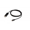 Câble DisplayPort vers USB Type C Erard 1 m Noir