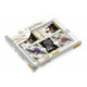 Coffret de 10 pochettes Panini Harry Potter avec 3 cartes