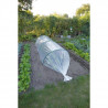Film de forçage-LDPE transparent-50µ-2x5m