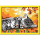 Numéro d'art - petit format - Deux chatons couchés - Ravensburger - Kit complet de Peinture au numéro - Des 9 ans