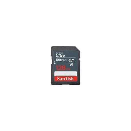 Carte mémoire flash - SANDISK -  - 128GB -  -  (SDSDUNR-128G-GN3IN)