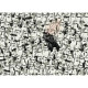 Puzzle 1000 p - Star Wars (Challenge Puzzle)