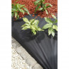 Nappe de paillage -  noir 50 gr/m² - 1x20 m