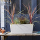 PoeTIC - Jardiniere Elément 60 calcaire - L 59,5 x l 21,4 x h 24 cm - 23,7L