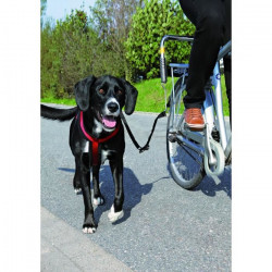 TRIXIE Ensemble laisse de vélo pour chien Argenté et Noir 1287