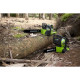 Greenworks Tronçonneuse sans batterie 40 V G40CS30 30 cm 20117