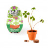 Mini kit de trèfle à 4 feuilles
