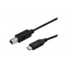Cable d'imprimante USB-C Vers USB-B 1,8M Noir