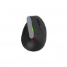 Souris optique verticale sans fil Wifi Itworks VM02 Noir