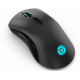 Souris Gaming Lenovo Legion M600 Noir et Gris