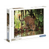 Puzzle 2000 pièces Clementoni High Quality Léopard