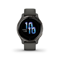 Montre connectée Garmin Collection Venu 2S Gris avec bracelet Gris foncé