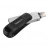 Clé USB 3.0 256 Go Sandisk Ixpand Gris et noir