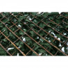 CATRAL Treillis Extensible avec Feuilles Basic - 1mx2M