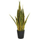 CATRAL - Plante artificielle lengua tigre bc 105cm