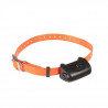 NUMAXES Collier supplémentaire CANICOM 5 - Sangle orange