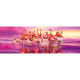 Clementoni - Panorama 1000 pieces - Flamingo Dance