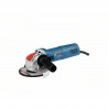 Meuleuse BOSCH PROFESSIONAL GWX 750-125 carton X-lock