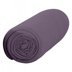 TODAY Drap Housse 90X190 1 personne Percale uni violet PREMIUM TODAY