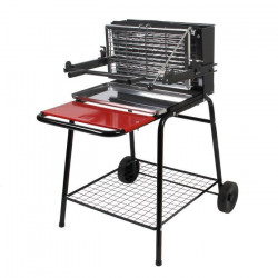 RAYMOND Barbecue a charbon de bois, avec cuve en fonte/acier pour cuisson verticale, sur chariot