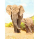 Puzzle N 500 p - Eléphants dans les steppes