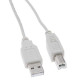 CONTINENTAL EDISON Câble imprimante USB 2.0 A mâle/B mâle 1.8m