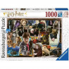 HARRY POTTER Puzzle 1000 pieces - Harry Potter contre Voldemort - Ravensburger - Puzzle adultes - Des 14 ans