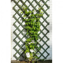 Nature Trellis de jardin 50 x 150 cm Bois Vert