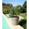 RIVIERA Pot de fleurs Soleilla - Rond - Ø 39,2 x 35,8 cm - Taupe