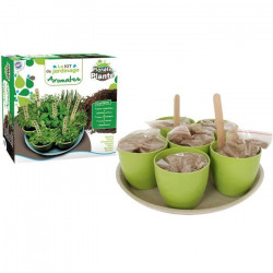 MGM - Plateau de 7 pots bamboo avec graines et substrat