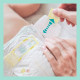 PAMPERS 34 Couches Premium Protection Taille 5