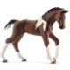 SCHLEICH Figurine 13758 - Cheval - Poulain Trakehnen