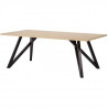 Table basse rectangulaire - Piétement graphique en bois massif - Noir et chene - 120 x 60 x 45 cm - STARLIGHT