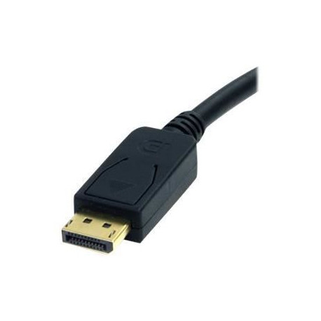 Câble adaptateur DisplayPort vers DVI de 1,8 m - Câble adaptateur DP vers DVI de 1,8 m - Convertisseur DP - 1920 x 1200 - DP2…
