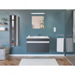 ALBAN Salle de Bain complete L 80cm - Meuble + Vasque + Colonne vitrée - Gris mat