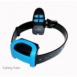 Ensemble dressage EYENIMAL TRAINING PULSE chien