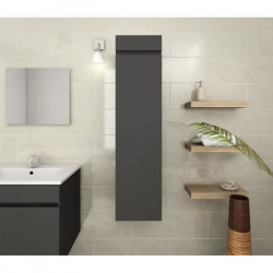 LUNA Colonne de salle de bain L 25 cm - Gris mat