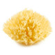 THERMOBABY Eponge de mer honeycomb n°10