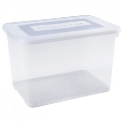 CURVER | HANDY 65L, Rangement, Transparent, 60 x 40 x 38,8 cm