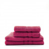 TODAY Lot de 2 Serviettes 50 x 100 cm + 2 Draps de bain 70 x 130 cm - 100% Coton - Jus de myrtille TODAY