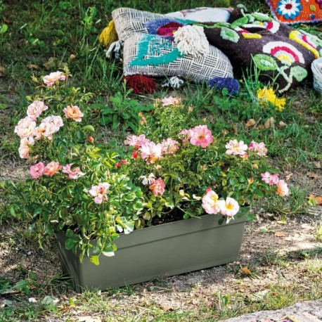 DEROMA Jardiniere Ninfea R verde a réserve d'eau - Coloris vert - 40cm