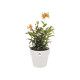 B.for Original Rond 30 blanc