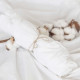 DOMIVA Drap housse BIO 130 g/m² - 60 x 120 cm - Blanc